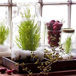 Holiday Greenery